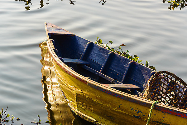 포토 JPG 해외이미지 전통 아시아 호수 여행 백그라운드 교통시설 자연 동양인 풍경 사람없음 야외 목재 물 여름 파란색 컬러풀 반사 노란색 평화 침묵 보트 작음 네팔 옛날 히말라야 해외202004 해외포토 자연요소 나무 계절 나라 컬러 교통 컨셉 배_교통 재료 인종 소리 크기 시설 생태계 파일형식 산맥 이미지허브