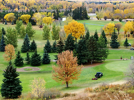 포토 JPG 해외이미지 나무 라이프스타일 계절 스포츠 여행 밭 골프 자연 놀이 날씨 휴가 건강 사람 풍경 잔디 사람없음 야외 초록색 여름 컬러풀 평화 환경 게임 시골 거친 강의 땅 클럽 장면 올가미 땅바닥 완전 해외202004 해외포토 식물 컬러 컨셉 농업 바닥 생활 구기 생태계 파일형식 이미지허브