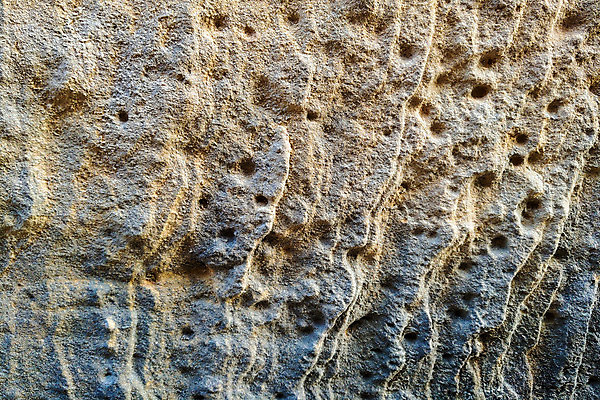 포토 JPG 해외이미지 디자인 배너 외관 종이 벽 백그라운드 패턴 건축양식 벽지 추상 전등 바닥 주택 사람없음 내부 건물 그래픽 장식 갈색 우주 검은색 어둠 공백 블록 수확 도시 황금 질감 복고 캔버스 시멘트 페이지 그런지 깨짐 석고 옛날 콘크리트 스타일 해외202004 해외포토 건축물 건축 컬러 컨셉 무늬 농업 조명 파일형식 이미지허브