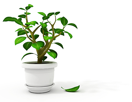 포토 JPG 해외이미지 식물 1 꽃 화분 백그라운드 잎 일러스트 사람없음 초록색 3D 흰색 냄비 오브젝트 싱글 함선 내추럴 고립 해외202004 해외포토 컬러 배_교통 솥 디지털합성 파일형식 이미지허브