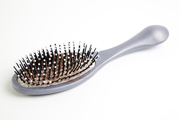 포토 JPG 해외이미지 사람없음 뷰티 머리카락 머리빗 흰배경 헤어관리 두피케어 탈모 탈모클리닉 해외202004 탈모예방 해외포토 백그라운드 머리 흰색 미용용품 예방 클리닉 증상 파일형식 이미지허브