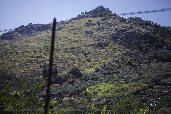 포토 JPG 해외이미지 유럽 밭 농업 자연 하늘 산 파노라마 풍경 사람없음 초록색 물 파란색 강 농장 황혼 이탈리아 시골 황무지 숲 큼 땅 지중해 언덕 화산 조경 장면 지역 멀리 밭일 오지 세련 해외202004 해외포토 자연요소 나라 산업 바다 컬러 촬영기법 일몰 크기 생태계 파일형식 이미지허브