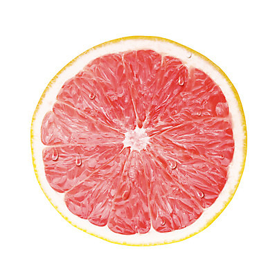 포토 JPG 해외이미지 식물 리플렛 잎 오렌지 일러스트 자연 포도 건강 경사 사람없음 빨간색 빛 노란색 주스 수확 신선 칼날 횡단보도 닫기 결과 흰배경 건강식 내추럴 고립 광 사실 진실 해외202004 해외포토 음료 음식 컬러 백그라운드 컨셉 농업 과일 모션 흰색 보행로 생태계 파일형식 이미지허브