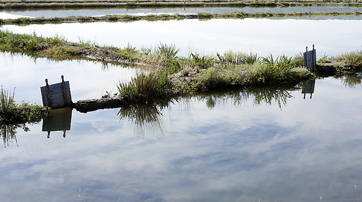 포토 JPG 해외이미지 산업 전통문화 호수 음식 바다 여행 백그라운드 재료 자연 하늘 풍경 사람없음 야외 물 여름 파란색 태양 농장 반사 갈색 맑음 일몰 흰색 물방울 농부 숲 크리스탈 향신료 소금 흙더미 우크라이나 절임 짠맛 해외202004 해외포토 자연요소 직업 전통 계절 유럽 문화 컬러 농업 날씨 노을 흙 맛 광석 생태계 향미료 파일형식 더미 이미지허브