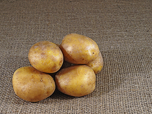 포토 JPG 해외이미지 음식 채소 재료 감자 건강 사람없음 갈색 먹기 날것 뿌리 먼지 해외202004 해외포토 컬러 모션 파일형식 이미지허브