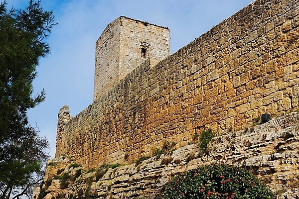 포토 JPG 해외이미지 구름 외관 유럽 벽 여행 건축양식 하늘 주택 사람없음 야외 건물 초록색 파란색 탑 이탈리아 회색 바위 성 중세 역사 과거 유지 옛날 웅장함 파멸 해외202004 해외포토 자연요소 건축물 건축 나라 컬러 컨셉 돌_바위 파일형식 소멸 이미지허브