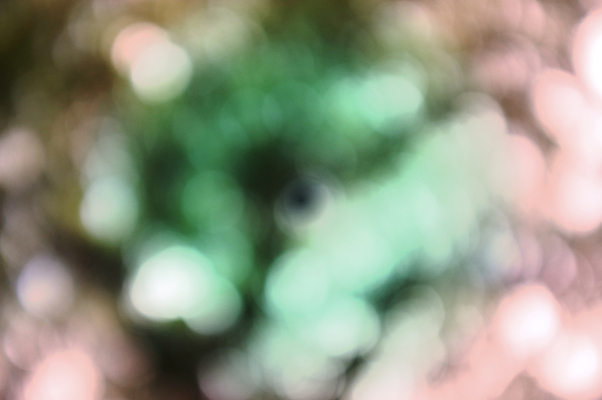 포토 JPG 해외이미지 디자인 분홍색 백그라운드 크리스마스 패턴 오렌지 벽지 하늘 추상 휴가 불꽃 새로움 미술 경사 사람없음 여름 파란색 빛 컬러풀 태양 파티 우주 환경 축제 봄 할로윈 회색 흰색 축하 원형 소프트포커스 연도 질감 보케 부드러움 해피뉴이어 공상 마법 천국 블러 엘리먼트 파스텔톤 효과 해외202004 해외포토 자연요소 도형 계절 기념일 컬러 컨셉 무늬 과일 불 문화예술 촬영기법 이벤트 새해인사 감각 파일형식 이미지허브