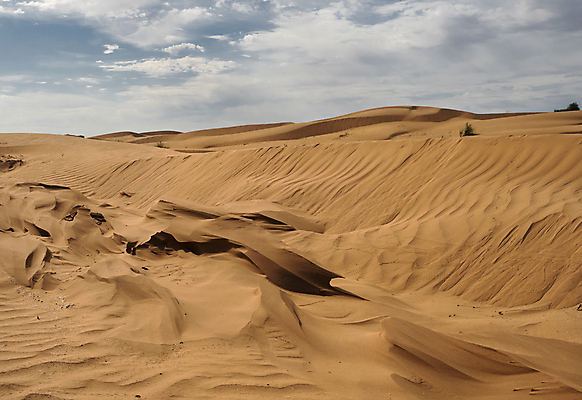 포토 JPG 해외이미지 물결 모래 파도 여행 백그라운드 오렌지 자연 하늘 건조 따뜻함 그림자 풍경 사람없음 야외 여름 모래사장 태양 노란색 맑음 사막 뜨거움 거친 모래언덕 사파리 언덕 질감 사하라 해외202004 해외포토 자연요소 계절 바다 컬러 과일 아프리카 날씨 생태계 파일형식 이미지허브