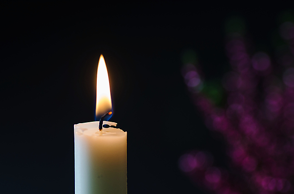 포토 JPG 해외이미지 1 계절 꽃 백그라운드 크리스마스 촛불 자연 추상 휴가 불꽃 사람없음 내부 장식 빛 컬러풀 우주 보라색 침묵 가을 소프트포커스 배열 싱글 애도 추수감사절 연소 장례식 화상 해외202004 해외포토 식물 기념일 기독교 컬러 무늬 초 불 촬영기법 소리 상처 생태계 파일형식 이미지허브