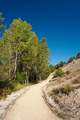 포토 JPG 해외이미지 나무 길 자국 자연 아침 풍경 사람없음 야외 목재 세로 초록색 햇빛 평화 맑음 침묵 봄 하이킹 숲 미루나무 많음 해외202004 해외포토 주간 식물 계절 컬러 컨셉 재료 레저 날씨 태양 소리 생태계 파일형식 이미지허브