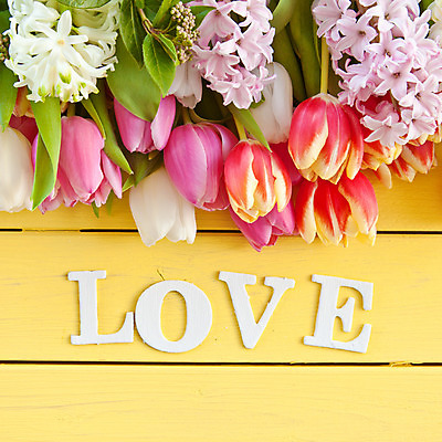 포토 JPG 해외이미지 꽃 분홍색 꽃다발 백그라운드 봄꽃 발렌타인데이 사랑 사람없음 목재 장식 빨간색 빛 컬러풀 노란색 봄 튤립 수확 벚꽃 시골 신선 주기 감사 정사각형 수선화 히아신스 카피스페이스 해외202004 해외포토 도형 나무 식물 계절 감정 컬러 농업 재료 모션 데이이벤트 공백 파일형식 이미지허브