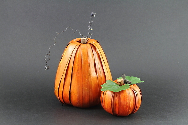 포토 JPG 해외이미지 식물 계절 음식 줄기 잎 농업 채소 오렌지 호박 휴가 건강 사람없음 장식 할로윈 수확 가을 오브젝트 날것 박 추수감사절 스쿼시 10월 카피스페이스 해외202004 해외포토 산업 기독교 스포츠 과일 구기 공백 날짜 파일형식 이미지허브