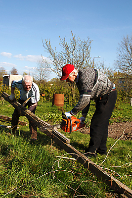 포토 JPG 해외이미지 나무 백인 직업 손 노년 남자 2 채소 노동자 사람 야외 두명 여름 정원 힘 기계 장비 나뭇가지 공구 업무 작업 널 휘발유 숲 자르기 원예 통나무 엔진 잡동사니 모터 벌목 수목 옛날 전기톱 조작 톱밥 톱질 해외202004 해외포토 서양인 식물 계절 모션 성인 취미 신체부위 도구 석유 가루 톱 파일형식 이미지허브