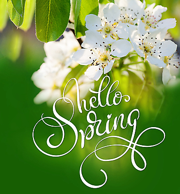 포토 JPG 해외이미지 백그라운드 캘리그라피 사람없음 봄 벚꽃 해외202004 해외포토 계절 꽃 파일형식 이미지허브