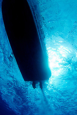 포토 JPG 해외이미지 스포츠 바다 자연 휴가 사람없음 물 파란색 수중 수영 보트 속도 다이빙 해외202004 해외포토 자연요소 컬러 배_교통 수상스포츠 생태계 수중스포츠 파일형식 이미지허브