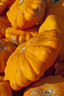 포토 JPG 해외이미지 계절 채소 재료 건강 요리 사람없음 노란색 시장 수프 상품 만족 스쿼시 많음 제의 해외202004 해외포토 감정 스포츠 컬러 컨셉 구기 파일형식 이미지허브