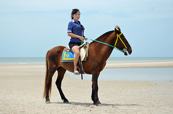 포토 JPG 해외이미지 동물 여자 스포츠 바다 자연 하늘 사랑 한명 웃음 취미 우정 승차 굴레 해외202004 해외포토 1 감정 모션 표정 사람 친구 생태계 파일형식 이미지허브