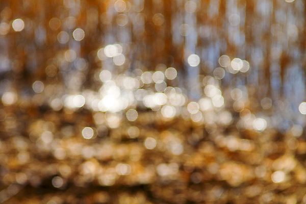 포토 JPG 해외이미지 디자인 백그라운드 패턴 오렌지 촛불 추상 불꽃 조명 그림자 사람없음 빨간색 빛 노란색 에너지 광선 물방울 손전등 원형 빗방울 야광 블러 해외202004 해외포토 도형 컬러 무늬 과일 초 불 비_날씨 파일형식 이미지허브