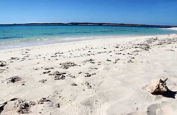 포토 JPG 해외이미지 구름 모래 파도 바다 섬 여행 백그라운드 컨셉 자연 하늘 휴가 조개 휴식 나선형 풍경 해변 사람없음 물 여름 파란색 컬러풀 태양 여행객 맑음 껍질 흰색 서핑 소라 휴양지 기념품 내추럴 이국적 터키석 파라다이스 수평선 해외202004 해외포토 자연요소 계절 컬러 무늬 날씨 어패류 사람 장소 수상스포츠 보석 오브젝트 생태계 파일형식 이미지허브