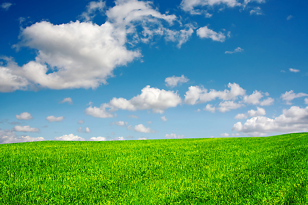 포토 JPG 해외이미지 식물 구름 계절 백그라운드 잎 밭 자연 하늘 날씨 파노라마 풍경 사람없음 야외 가로 초록색 여름 파란색 햇빛 환경 침묵 봄 활발 신선 땅 장면 넘어짐 무한 평야 수평선 해외202004 해외포토 자연요소 컬러 컨셉 농업 모션 촬영기법 태양 소리 생태계 파일형식 이미지허브