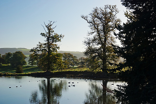포토 JPG 해외이미지 나무 외관 계절 공원 유럽 호수 잎 자연 하늘 표면 풍경 사람없음 야외 장식 초록색 물 여름 파란색 햇빛 태양 반사 일출 일몰 봄 성장 가을 시골 연못 숲 땅 장면 생태학 해외202004 해외포토 자연요소 식물 공공시설 교육 나라 컬러 노을 생태계 파일형식 이미지허브