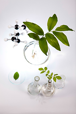 포토 JPG 해외이미지 식물 실내 실험 사람없음 액체 화학 실험실 플라스크 흰배경 비커 화학실험 분자구조모형 샬레 해외202004 해외포토 과학 백그라운드 실험기구 내부 모형 흰색 분자구조 파일형식 이미지허브