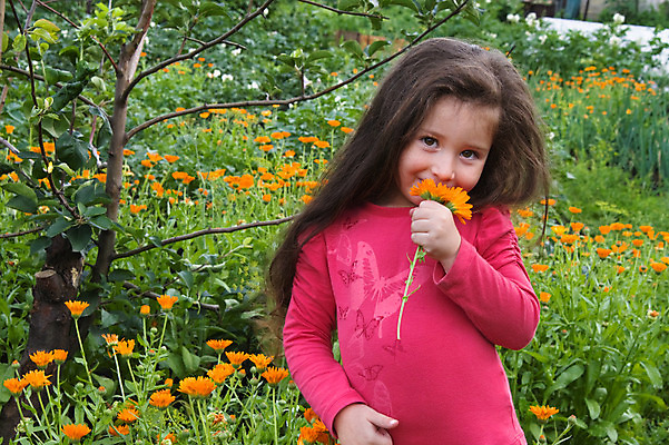 포토 JPG 해외이미지 식물 백인 1 꽃 어린이 자연 한명 사람 소녀 야외 빨간색 초록색 여름 정원 해외202004 해외포토 서양인 계절 여자 컬러 생태계 파일형식 이미지허브