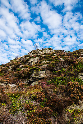 포토 JPG 해외이미지 식물 구름 호수 여행 자연 하늘 바람 산 파노라마 풍경 경사 사람없음 야외 물 여름 파란색 컬러풀 노란색 사막 가을 황무지 땅 북극 지역 암초 북쪽 그린란드 해외202004 해외포토 자연요소 계절 컬러 섬 날씨 촬영기법 덴마크 극지방 방향 생태계 파일형식 이미지허브