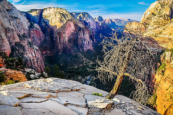 포토 JPG 해외이미지 구름 공원 여행 자국 자연 하늘 천사 산 안테나 국립공원 풍경 경사 사람없음 야외 빨간색 관광지 강 골짜기 계곡 미국 절벽 하이킹 사막 바위 황무지 숲 암초 사암 시온산 웅장함 전국 절정 착륙 해외202004 해외포토 자연요소 공공시설 컬러 북아메리카 통신 레저 돌_바위 생태계 파일형식 이미지허브