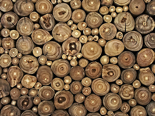 포토 JPG 해외이미지 백그라운드 사람없음 목재 가로 갈색 질감 통나무 수목 해외202004 해외포토 나무 컬러 재료 파일형식 이미지허브