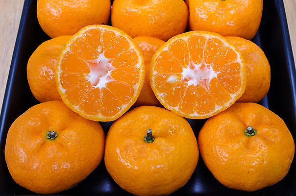 포토 JPG 해외이미지 음식 농업 오렌지 과일 부분 귤 건강 사람없음 노란색 원형 달콤 맛 시원함 상쾌 유기농 흙더미 구성 숙성 채식주의자 비건 해외202004 해외포토 도형 웰빙 감정 산업 컬러 컨셉 흙 채식 파일형식 더미 이미지허브