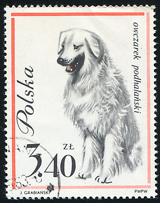 포토 JPG 해외이미지 동물 포유류 자연 봉투 털 사람없음 반려동물 수확 골동품 양 메시지 역사 개 물개 모피 편지 복고 엽서 우표 폴란드 송곳니 기르기 옛날 유래 해외202004 해외포토 유럽 농업 바다동물 치아 생태계 돌봄 파일형식 이미지허브