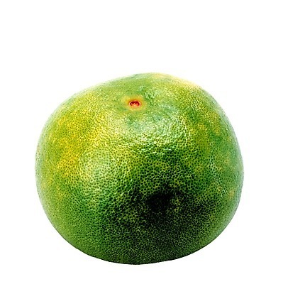 포토 JPG 해외이미지 음식 잎 다이어트 오렌지 과일 귤 건강 사람없음 식사 흰색 신선 원형 달콤 먹기 내추럴 해외202004 해외포토 도형 식물 컬러 모션 맛 파일형식 이미지허브