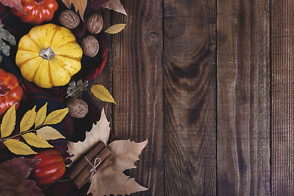 포토 JPG 해외이미지 식물 계절 행복 음식 백그라운드 컨셉 단풍 잎 패턴 농업 오렌지 자연 탁자 호박 휴가 프레임 건강 종류 요리 사람없음 목재 장식 빨간색 농작물 컬러풀 노란색 식사 저녁식사 할로윈 수확 가을 시골 메뉴 유기농 질감 엽서 박 추수감사절 내추럴 옛날 목업 카피스페이스 제의 해외202004 해외포토 나무 웰빙 감정 산업 기독교 컬러 가구 무늬 채소 과일 재료 공백 편지 생태계 파일형식 이미지허브