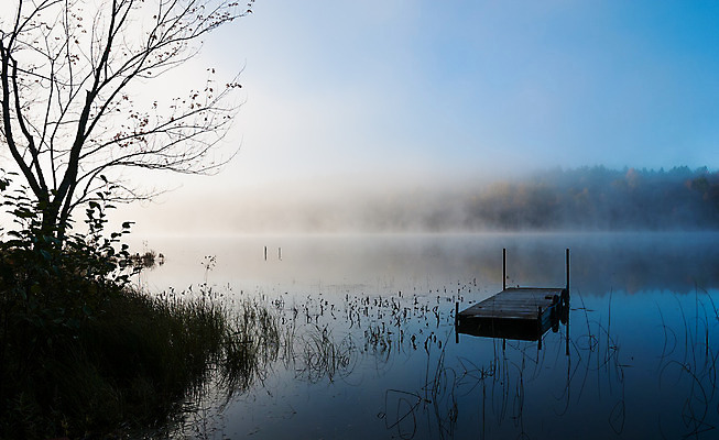 포토 JPG 해외이미지 나무 호수 잎 하늘 아침 사람없음 물 파란색 평화 일출 항구 맑음 수영 침묵 새벽 안개 나뭇가지 황무지 습지 숲 신비 속도 초대 깊이 뿌연 해외202004 해외포토 주간 자연요소 식물 컬러 컨셉 교통시설 날씨 노을 소리 수상스포츠 파일형식 이미지허브