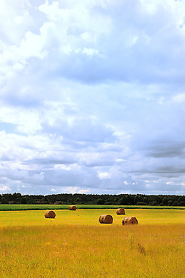 포토 JPG 해외이미지 식물 전통 계절 문화 밭 농업 자연 하늘 옥수수 사람없음 가로 여름 파란색 빛 농작물 햇빛 농장 노란색 쌓기 수확 시골 시간 원형 건초더미 볏짚 낟알 시리얼 밀 수집 보따리 복고 장면 밀짚 흙더미 구식 숙성 호밀 귀리 해외202004 해외포토 도형 산업 음식 컬러 모션 곡류 태양 흙 건초 짚 생태계 파일형식 더미 이미지허브