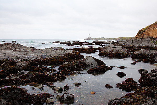 포토 JPG 해외이미지 주간 해외풍경 바다 해변 사람없음 야외 미국 바위 캘리포니아 해외202004 해외포토 자연요소 해외 북아메리카 풍경 돌_바위 파일형식 이미지허브