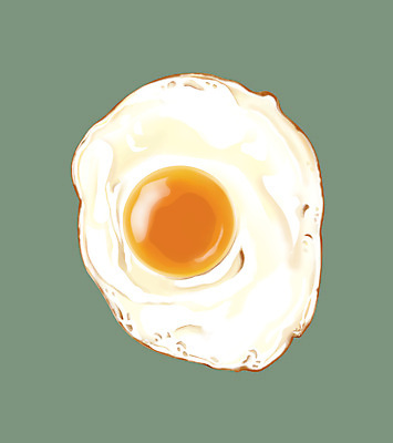 포토 JPG 해외이미지 음식 백그라운드 일러스트 재료 건강 요리 사람없음 그래픽 노란색 계란 튀김 흰색 신선 원형 닫기 그릴 아침식사 상품 먹기 묘사 노른자 내추럴 고립 단백질 영양분 취급주의 해외202004 해외포토 도형 컬러 모션 주방용품 경고 알 식사 영양소 파일형식 이미지허브