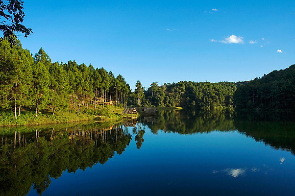 포토 JPG 해외이미지 나무 디자인 계절 공원 호수 여행 백그라운드 태국 자연 벽지 하늘 휴가 휴식 그림자 풍경 사람없음 야외 물 여름 빛 강 햇빛 태양 반사 환경 안개 저수지 소나무 개울 숲 모험가 즐거움 북쪽 해외202004 해외포토 자연요소 식물 공공시설 감정 아시아 컨셉 날씨 방향 생태계 파일형식 이미지허브