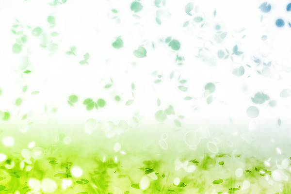 JPG 해외이미지 꽃잎 꽃 백그라운드 일러스트 사람없음 연두색 그라데이션 카피스페이스 해외202004 해외일러스트 식물 초록색 공백 파일형식 이미지허브