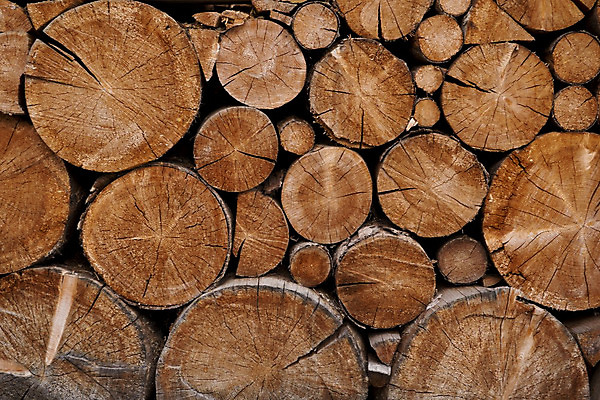 포토 JPG 해외이미지 백그라운드 패턴 자연 사람없음 목재 갈색 쌓기 반지 원형 센터 균열 낟알 장작 자르기 질감 매듭 통나무 잡동사니 다리찢기 내추럴 수목 해외202004 해외포토 도형 나무 컬러 무늬 재료 장신구 모션 생태계 파일형식 이미지허브