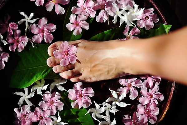 포토 JPG 해외이미지 식물 웰빙 여자 꽃잎 꽃 분홍색 백그라운드 신체 맨발 자연 휴식 건강 사람없음 치료 물 약 상점 스파 목욕 흰색 마사지 못 사발 고급 손톱관리 손톱 소중 허브 피부 순수 피부관리 아로마 발가락 아로마테라피 테라피 내추럴 돌봄 양발 위생관리 페디큐어 해외202004 해외포토 자연요소 손 컬러 컨셉 의학 모션 발 관리 사람 신체부위 뷰티 청결 공구 사기그릇 네일아트 생태계 파일형식 이미지허브