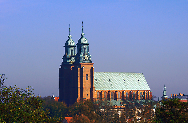 포토 JPG 해외이미지 나무 구름 종교 벽 시계 십자가 잎 창문 하늘 지붕 풍경 사람없음 건물 성당 교회 탑 도시 폴란드 고딕 해외202004 해외포토 자연요소 식물 건축물 유럽 종교건축 파일형식 이미지허브