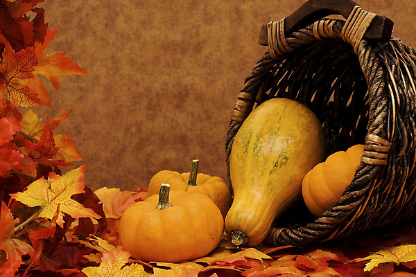 포토 JPG 해외이미지 계절 줄기 백그라운드 잎 채소 오렌지 호박 사람없음 야외 장식 빨간색 초록색 컬러풀 갈색 노란색 바구니 할로윈 수확 가을 흰색 컨테이너 심볼 박 추수감사절 짜임 월 갈색배경 해외202004 해외포토 식물 산업 기독교 컬러 농업 과일 날짜 파일형식 이미지허브