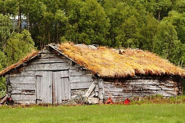 포토 JPG 해외이미지 자연 노르웨이 사람없음 여름 해외202004 해외포토 계절 유럽 생태계 파일형식 이미지허브