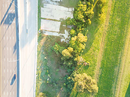 포토 JPG 해외이미지 나무 공원 도로 자국 자연 조류 하늘 아침 거리 주택 안테나 풍경 사람없음 초록색 파란색 도시풍경 소풍 일출 미국 도시 정상 숲 오솔길 맨션 언덕 지역 커뮤니티 이웃 교외 드론 삼나무 텍사스 해외202004 해외포토 주간 식물 동물 공공시설 길 컬러 북아메리카 통신 교통시설 건물 야외활동 노을 생태계 파일형식 이미지허브