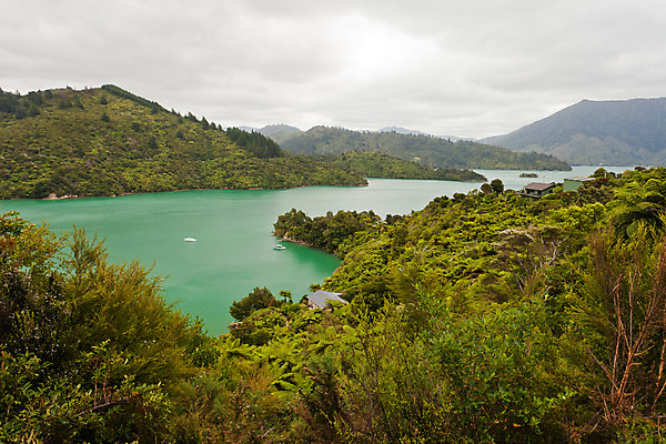 포토 JPG 해외이미지 구름 바다 섬 요트 지붕 새로움 주택 항해 요리 풍경 사람없음 초록색 회색 만 보트 황무지 숲 열대우림 뉴질랜드 태평양 멀리 닻 남쪽 고립 수평선 해외202004 해외포토 자연요소 컬러 컨셉 배_교통 건물 오세아니아 방향 파일형식 이미지허브