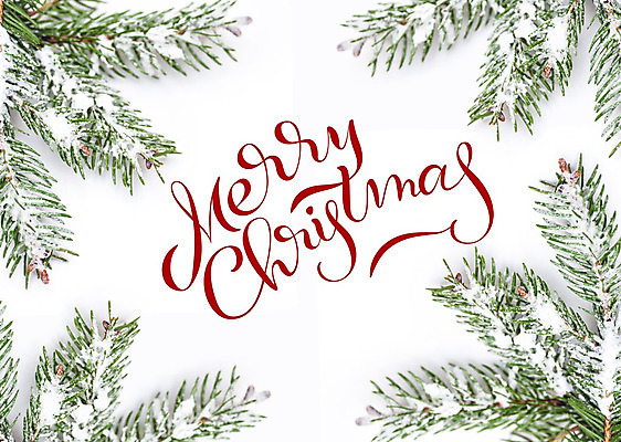 포토 JPG 해외이미지 백그라운드 크리스마스 프레임 사람없음 축하 솔잎 레터링 해외202004 해외포토 기념일 컨셉 잎 파일형식 이미지허브