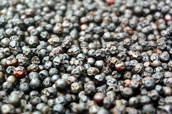 포토 JPG 해외이미지 식물 음식 백그라운드 농업 다이어트 채소 재료 건조 요리 씨앗 동양인 사람없음 빨간색 초록색 갈색 주방 검은색 신선 뜨거움 조미료 맛 낟알 다발 먹기 허브 향신료 유기농 질감 매움 아로마 향 후추 내추럴 보충 해외202004 해외포토 웰빙 산업 컬러 컨셉 모션 건강 인종 향미료 파일형식 이미지허브