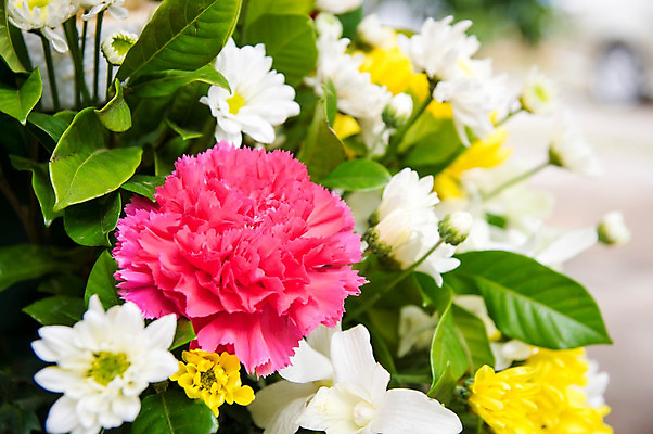 포토 JPG 해외이미지 식물 꽃 꽃다발 잎 꽃무늬 밭 창문 자연 탁자 주택 실내 선물 사람없음 내부 목재 장식 초록색 컬러풀 노란색 꽃병 침묵 방 벚꽃 가을 흰색 시골 다발 배열 묘사 그림 데이지 심플 부드러움 해외202004 해외포토 나무 계절 컬러 가구 무늬 농업 재료 건물 소리 감각 생태계 파일형식 이미지허브